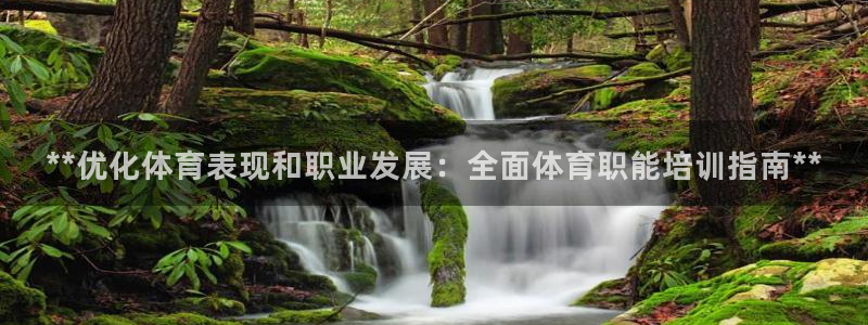 焦点娱乐官网下载安装苹果版：**优化体育表现和职业发