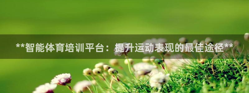 焦点娱乐传媒有限公司怎么样啊知乎