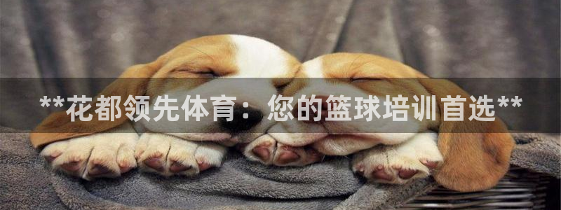 焦点娱乐传媒有限公司官网招聘：**花都领先体育：您的