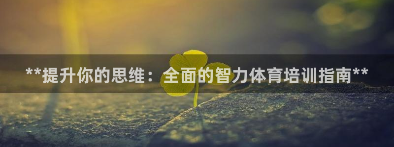 焦点娱乐股东持股比例：**提升你的思维：全面的智力体