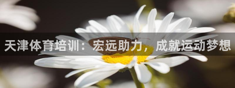焦点娱乐说说文案：天津体育培训：宏远助力，成就运动梦