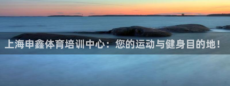焦点娱乐公司的发展历程简介：上海申鑫体育培训中心：您