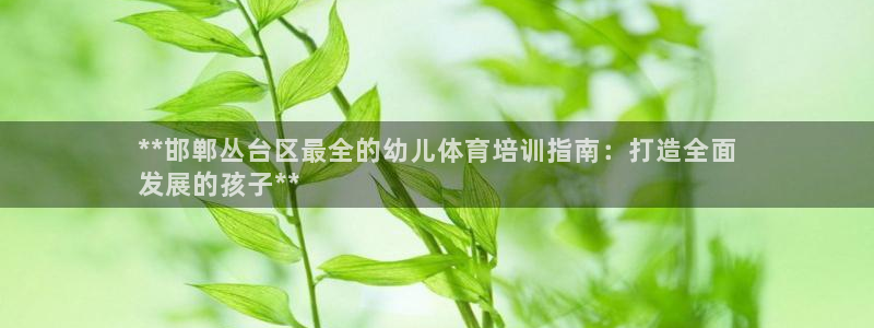 焦点娱乐如何注册账号的：**邯郸丛台区最全的幼儿体育