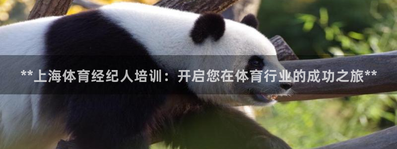 焦点娱乐平台登录不了怎么回事：**上海体育经纪人培训