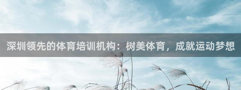 焦点娱乐ktv：深圳领先的体育培训机构：树美体育，成