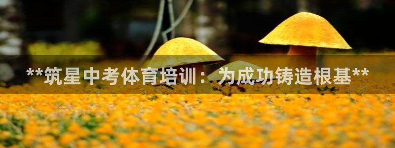 焦点娱乐开发：**筑星中考体育培训：为成功铸造根基*