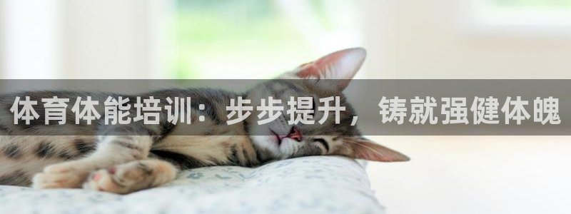 焦点娱乐下载手机版：体育体能培训：步步提升，铸就强健体魄