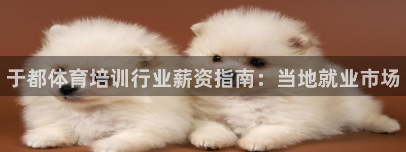 焦点娱乐官方网站入口下载手机版：于都体育培训行业薪资指南：当