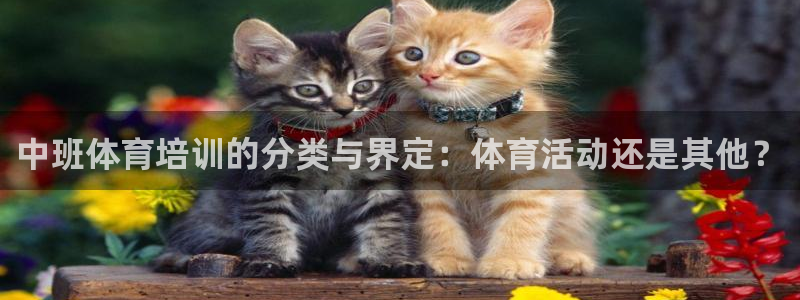 焦点娱乐平台斯7O777：中班体育培训的分类与界定：