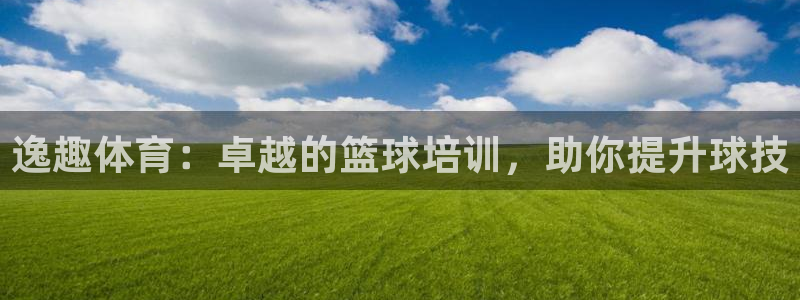 焦点娱乐是哪个公司的软件：逸趣体育：卓越的篮球培训，