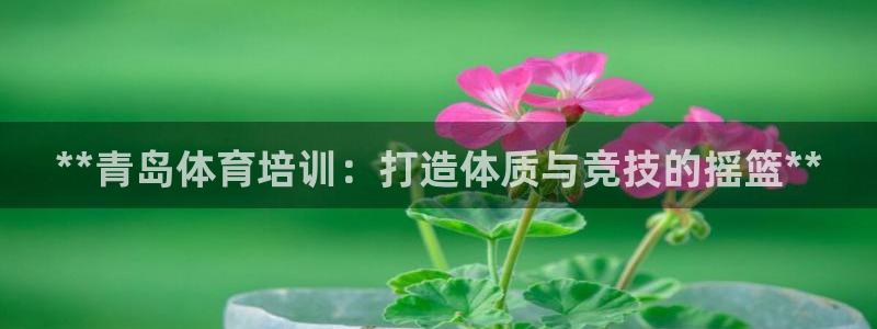 焦点娱乐平台底7O777：**青岛体育培训：打造体质