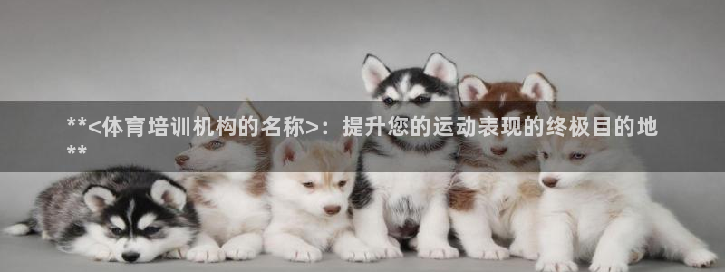 焦点娱乐平台候7O777：**<体育培训机构的名称>