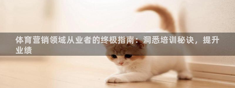 焦点娱乐网：体育营销领域从业者的终极指南：洞悉培训秘