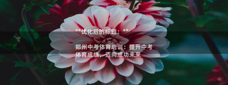 焦点娱乐皮皮虾视频：**优化后的标题：**

郑州中