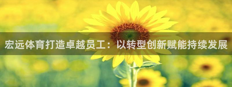 焦点娱乐app下载苹果版：宏远体育打造卓越员工：以转