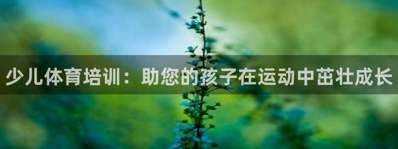 焦点娱乐平台客服热线电话：少儿体育培训：助您的孩子在