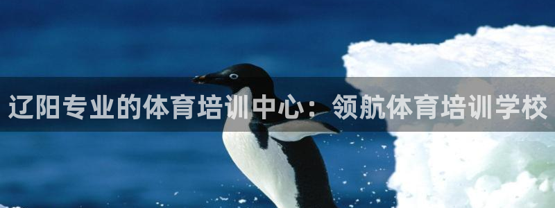 焦点娱乐如何注册账号和密码呢：辽阳专业的体育培训中心