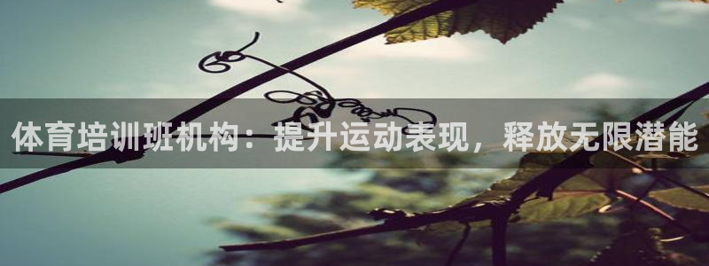 焦点娱乐负责人：体育培训班机构：提升运动表现，释放无