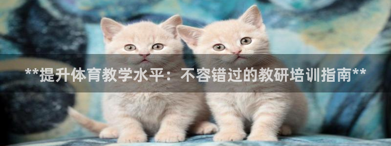 焦点娱乐传媒有限公司官网电话：**提升体育教学水平：