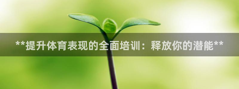 焦点娱乐官方网站下载安装手机版：**提升体育表现的全面培训：