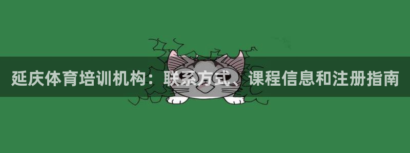 焦点娱乐平台注册账号是什么：延庆体育培训机构：联系方式、课程