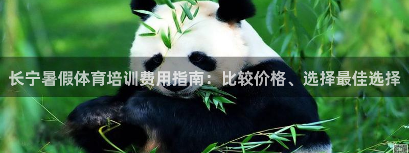 焦点娱乐可以解封银行卡吗：长宁暑假体育培训费用指南：