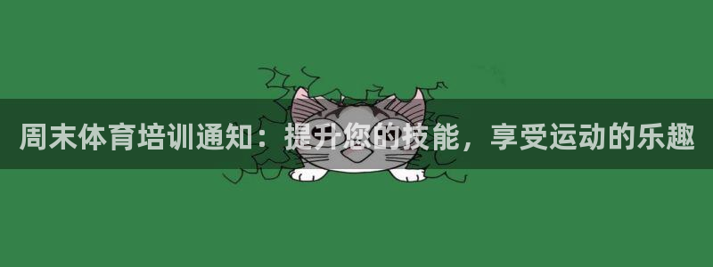 焦点娱乐公司是干嘛的：周末体育培训通知：提升您的技能