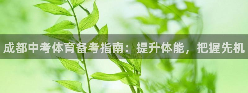 焦点娱乐传媒有限公司官网电话