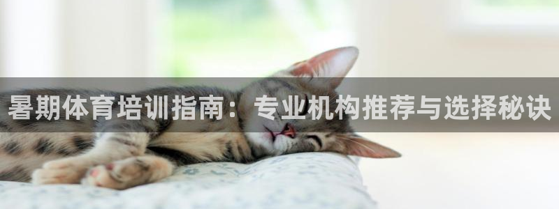 焦点娱乐皮皮虾