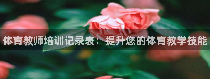 焦点娱乐官方网站入口下载安装：体育教师培训记录表：提