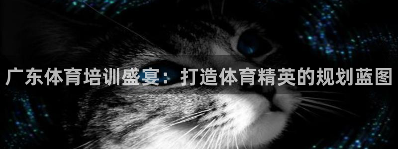 焦点娱乐平台新7O777：广东体育培训盛宴：打造体育