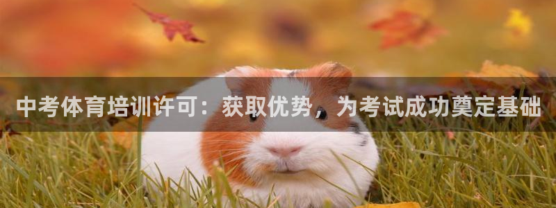 焦点娱乐app下载官网苹果：中考体育培训许可：获取优势，为考