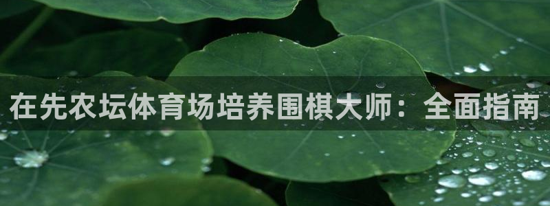 焦点娱乐无法提现到微信