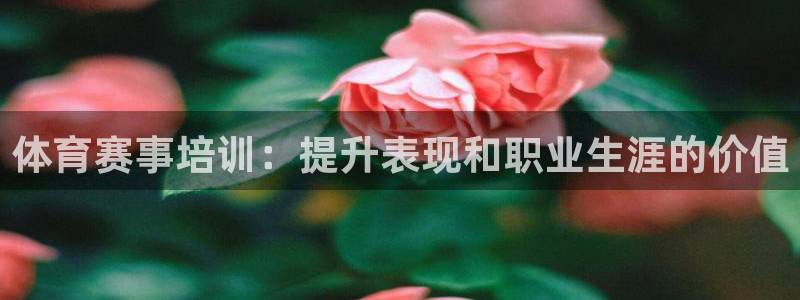 焦点娱乐平台斯7O777