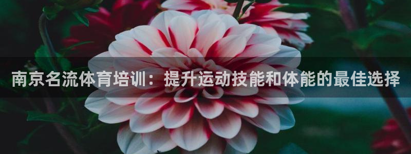 焦点娱乐是什么：南京名流体育培训：提升运动技能和体能